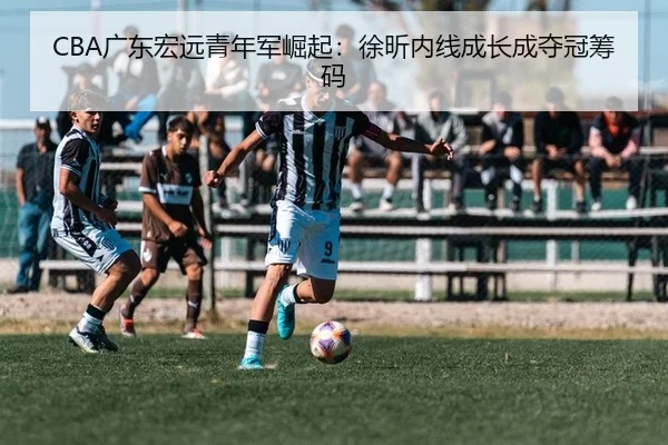 CBA广东宏远青年军崛起：徐昕内线成长成夺冠筹码