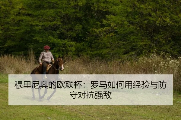 mu-li-ni-ao-de-ou-lian-bei-luo-ma-ru-he-yong-jing-yan-yu-fang-shou-dui-kang-qiang-di-2-218.jpg